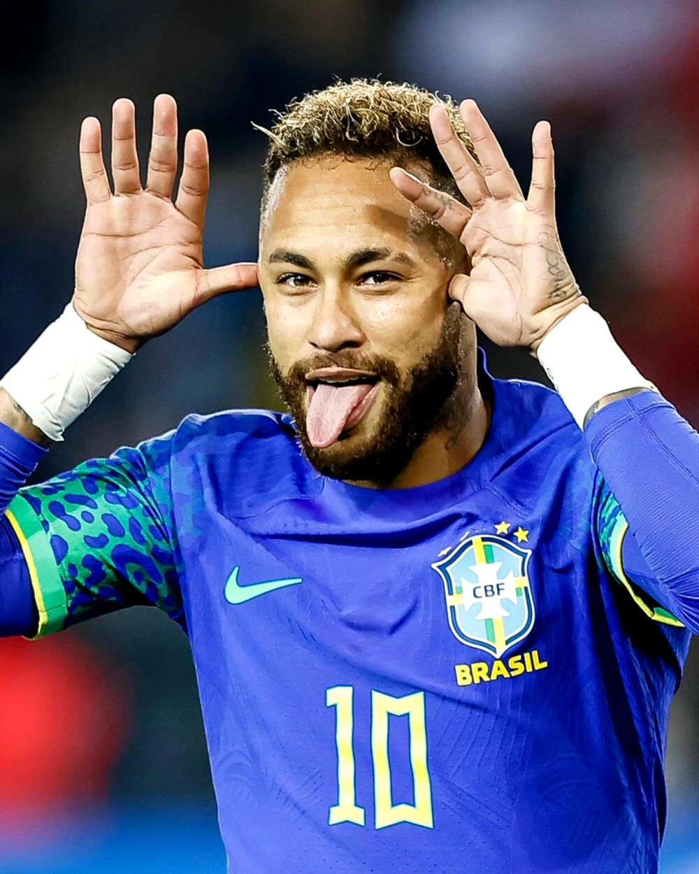 显得格外珍 显得格外珍